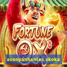 aconpanhantes skoka